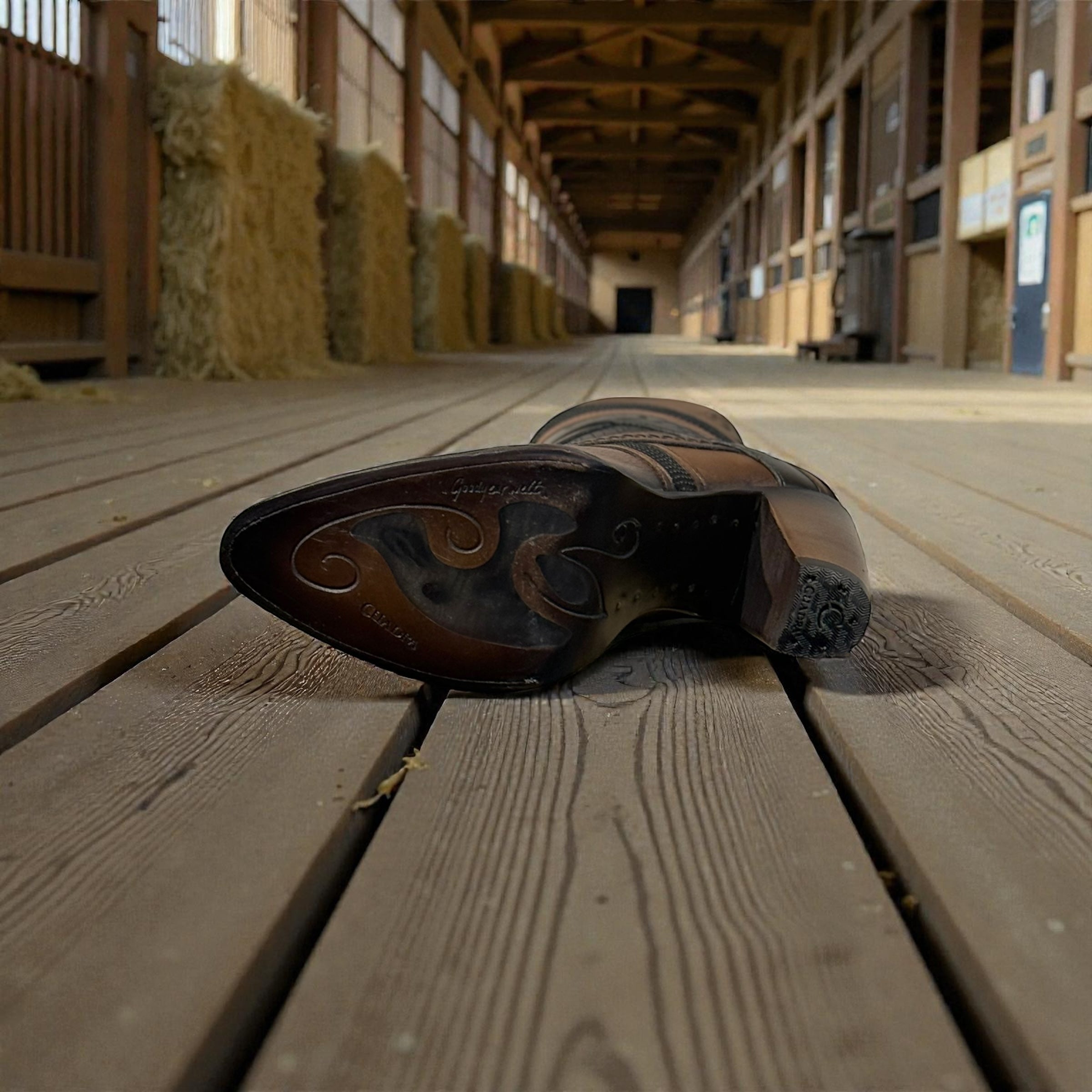 Lady Brown Python Laser & Embroidery & Woven