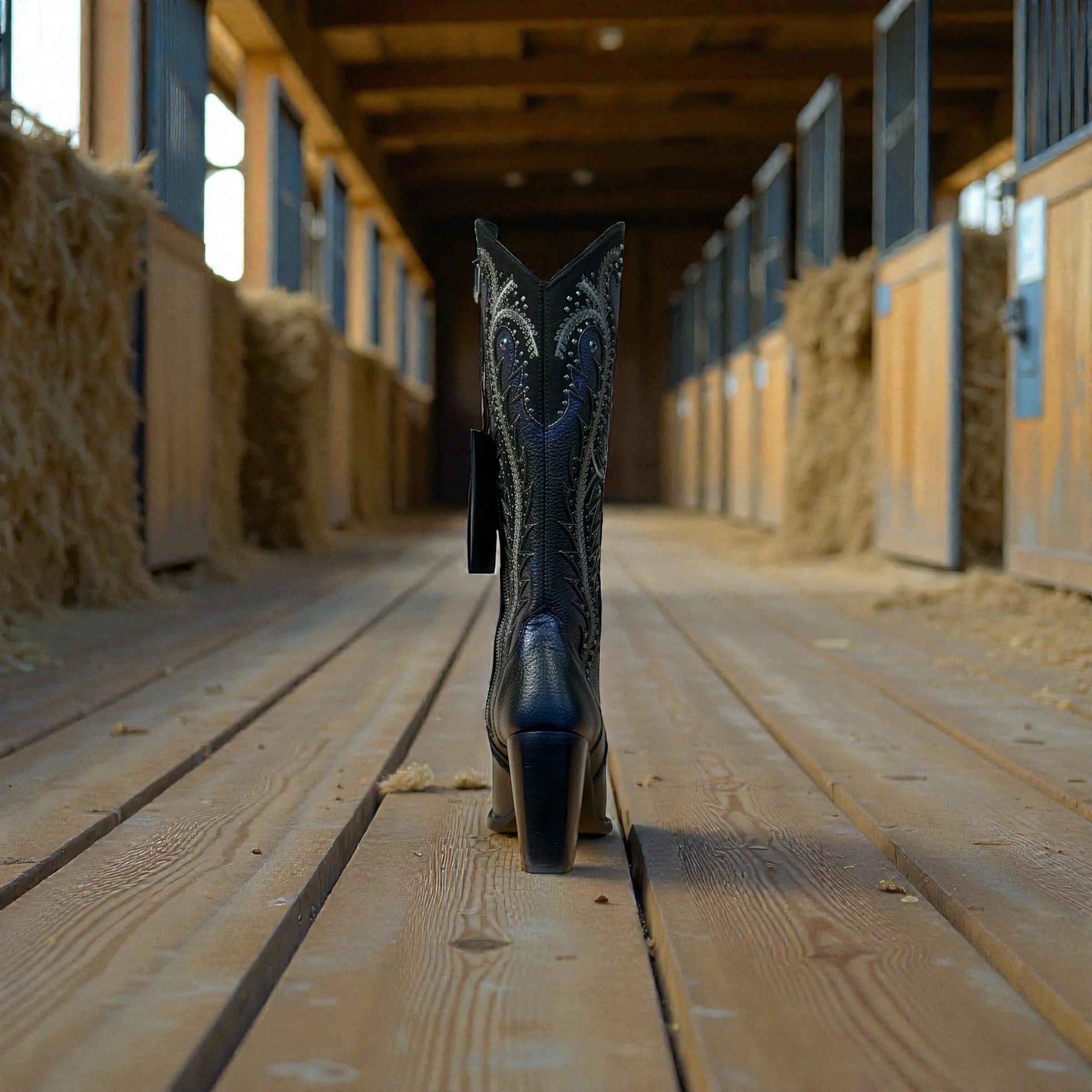 Lady Black Overlay & Embroidery & Studs Point