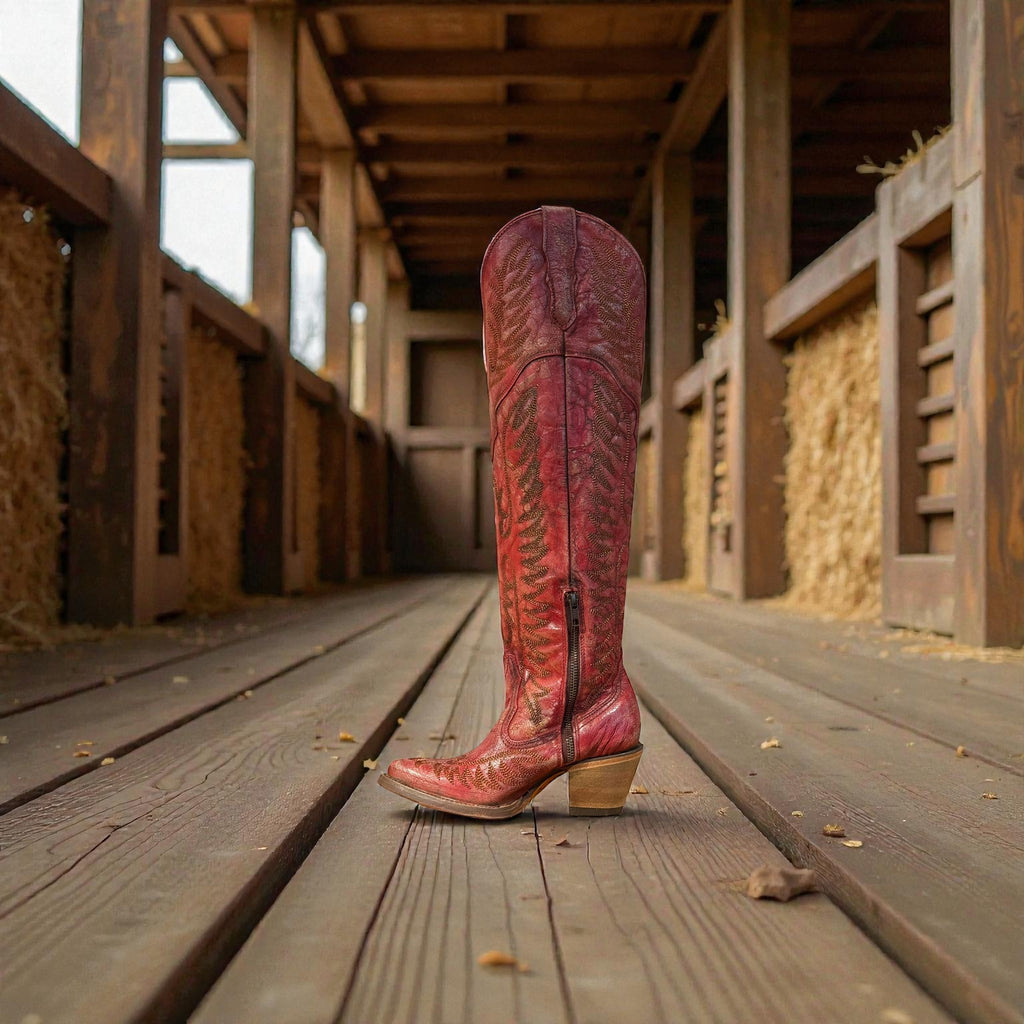 Lady Distressed Red Embroidery & Tall Top