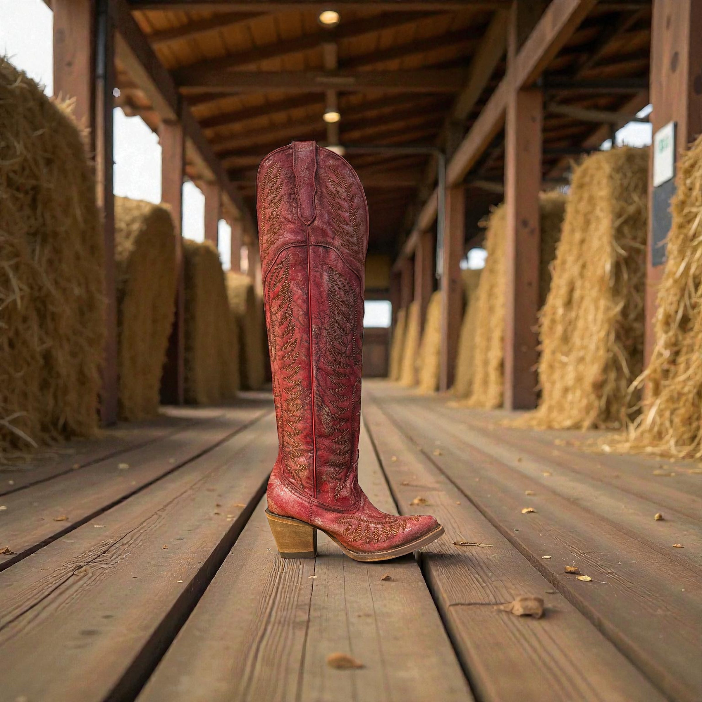 Lady Distressed Red Embroidery & Tall Top